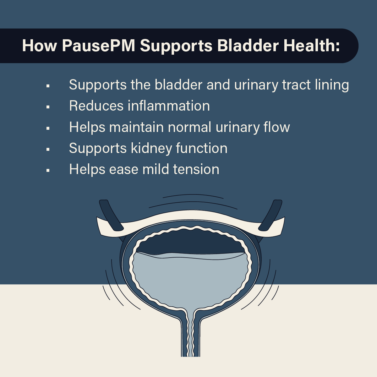 PausePM